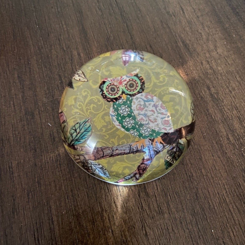 Decorative Owl Paperweight - Multicolor